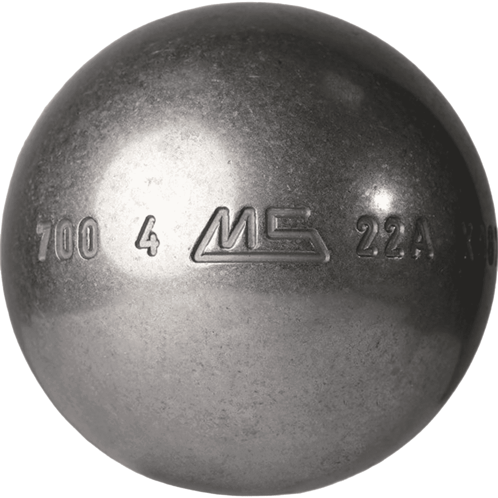 MS LSX